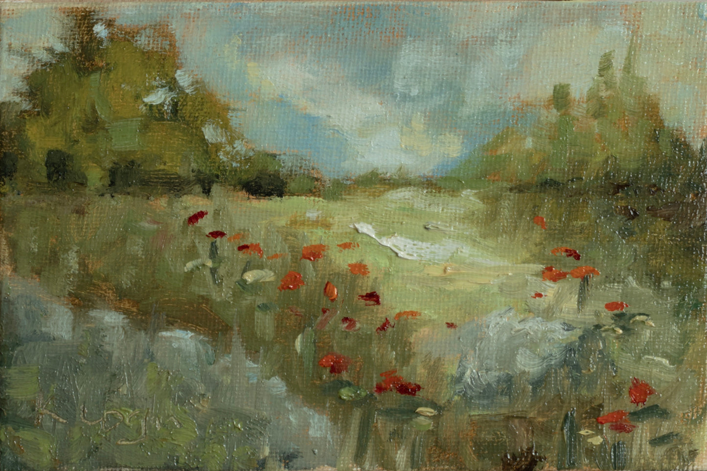 Sunlit Poppies