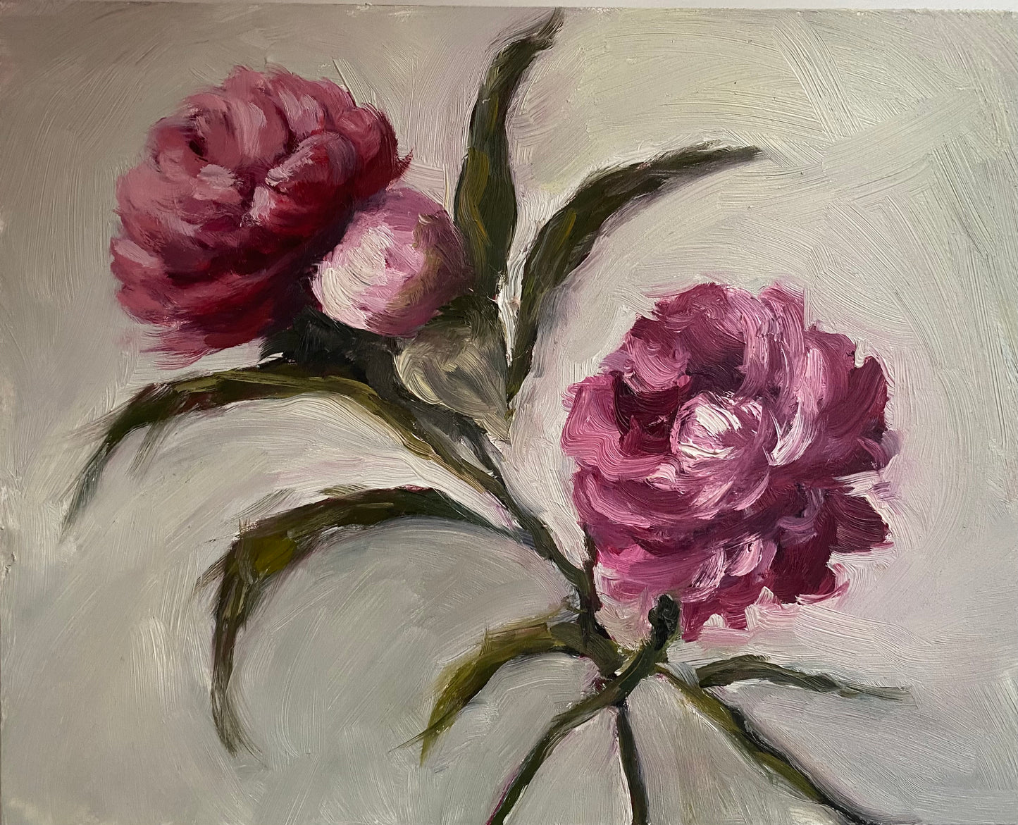 Pink Peonies 8" x 10"